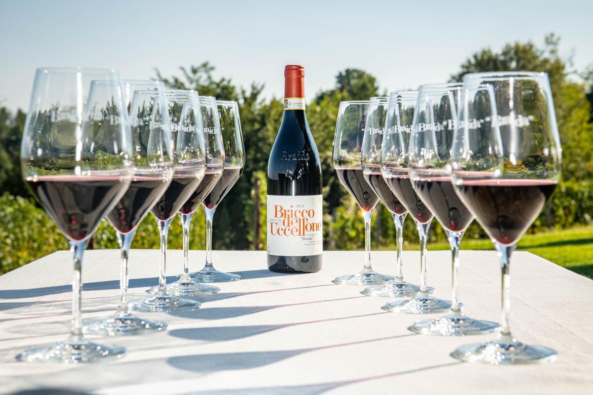 Braida Wine Resort Rocchetta Tanaro Eksteriør bilde