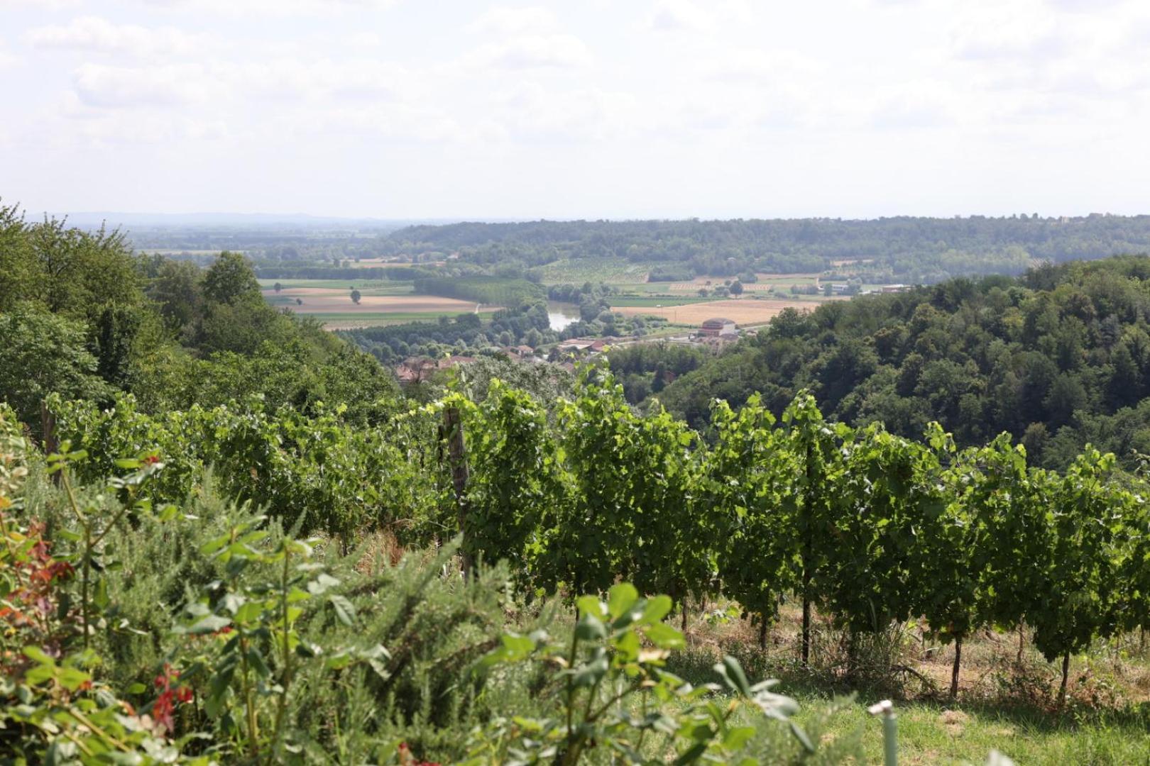 Braida Wine Resort Rocchetta Tanaro Eksteriør bilde